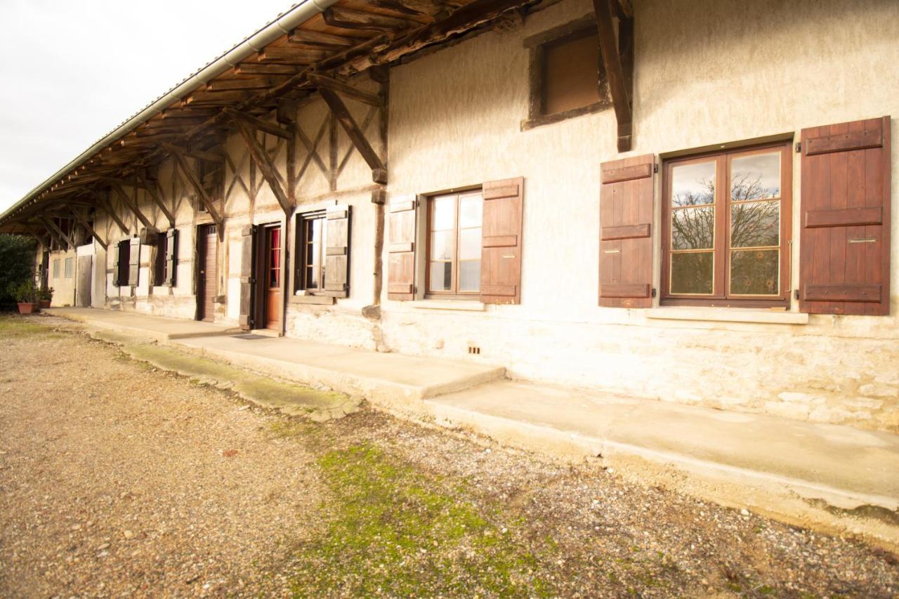Ferme Bressane - 4 Chambres Saint-Etienne-du-Bois  Exteriör bild